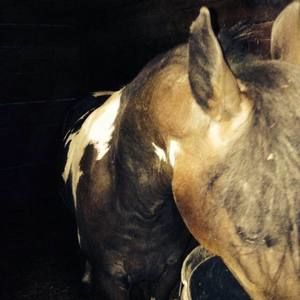 Meet your Posher, Ethan